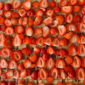 cuisine crue, raw food, cuisine vivante